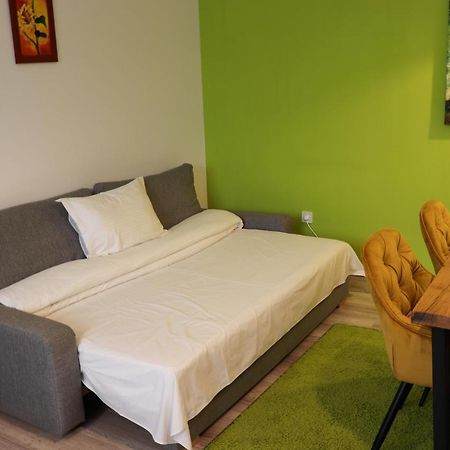 Apartamente Bucegi Rîşnov エクステリア 写真