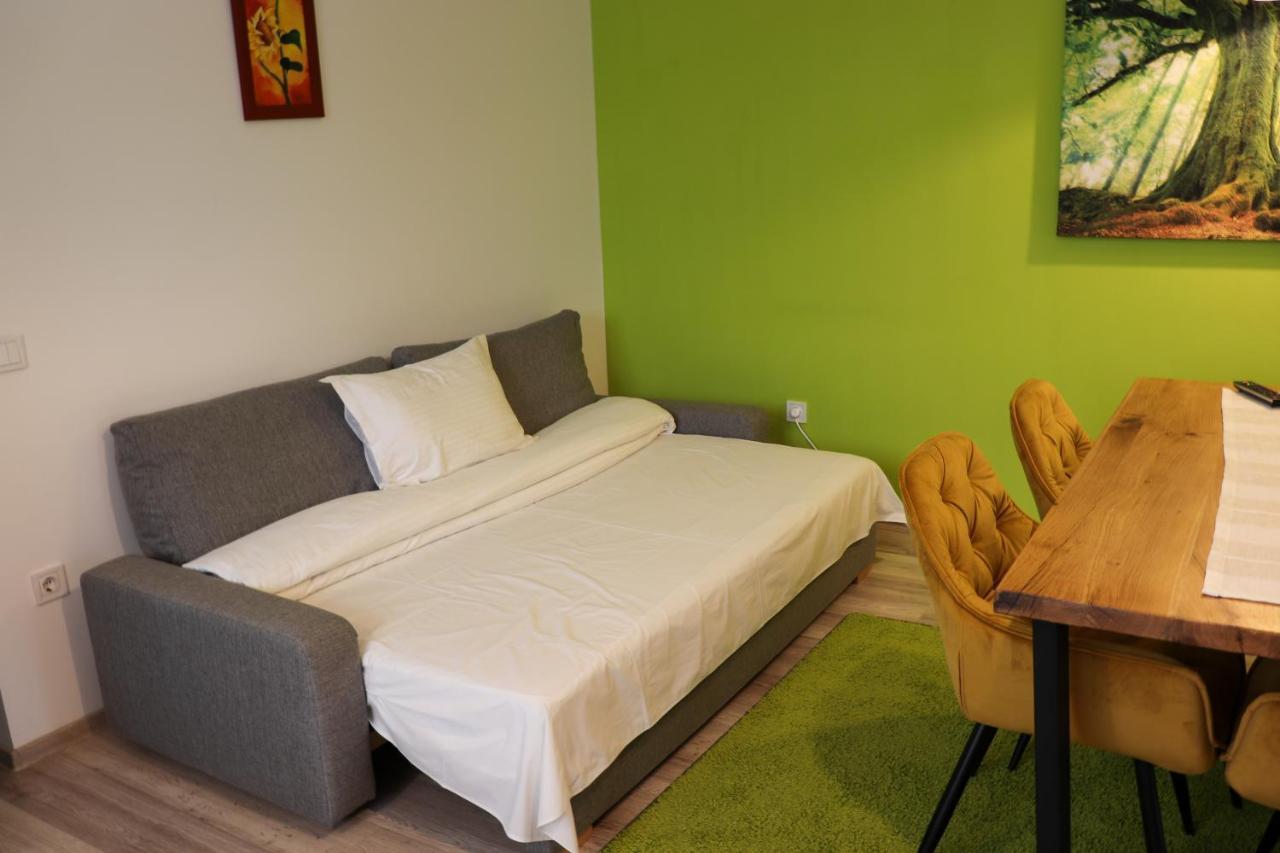 Apartamente Bucegi Rîşnov エクステリア 写真