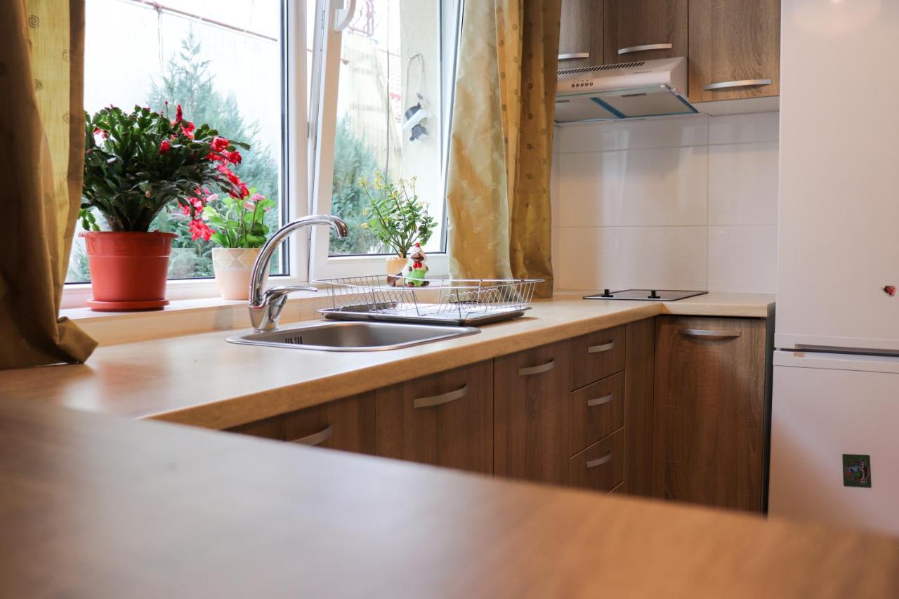 Apartamente Bucegi Rîşnov エクステリア 写真